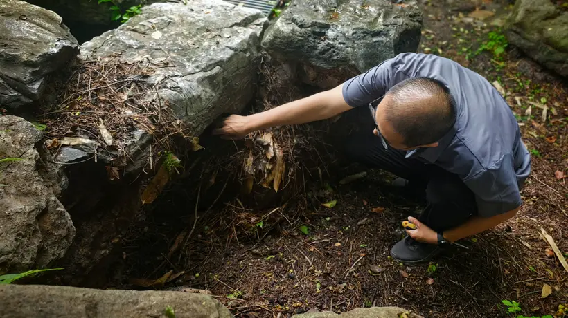 香山公园雨后清理枯枝落叶和积水,保障游客游园安全