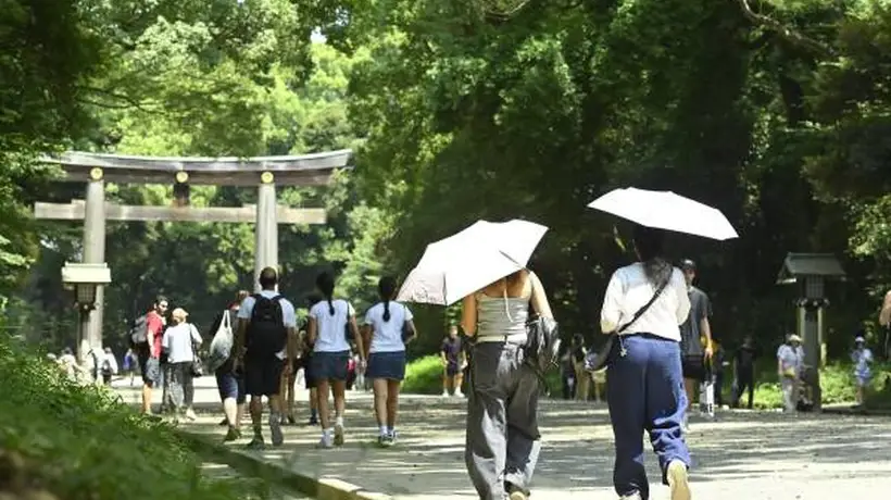 日本景点“双重票价”,为何让国际游客和本国人都怒了?