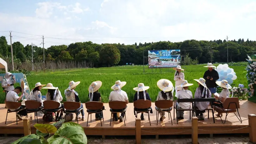 22℃呈贡：畅享荷塘葡萄节与多元暑期文旅体验