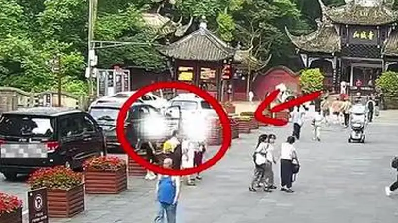 成都青城山“野路子”带客逃票团伙落网,警方揭露“省钱攻略”实为违法行为