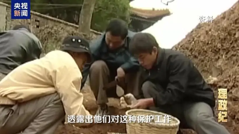 千年瓷都申遗成功 多元陶瓷活动邀你参与体验