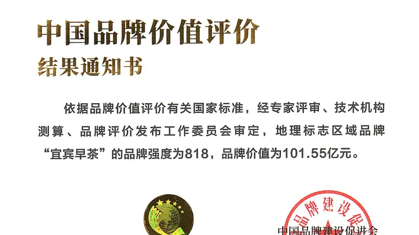 宜宾早茶的多元活动与品质体验 助推品牌价值突破101.55亿