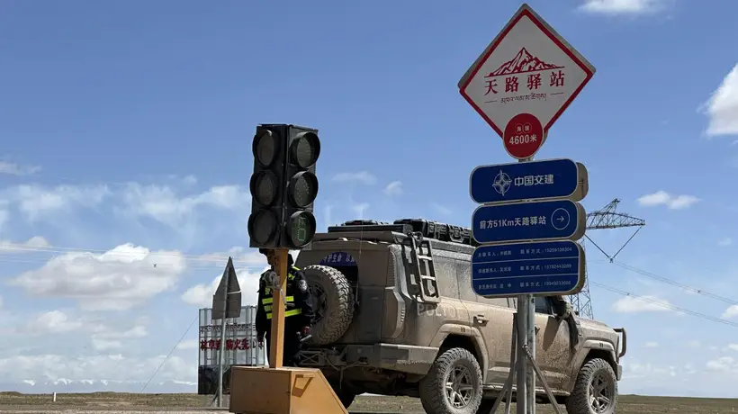 藏羚羊带娃过街 青藏公路全程静音守护迎迁徙