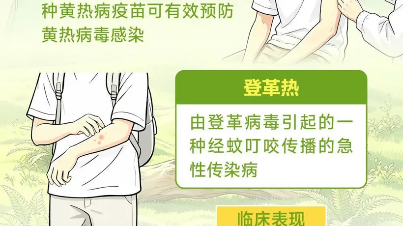 暑期跨境游升温 跟着口岸疾控指导做好多元活动中的防护体验