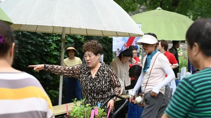 胡同里的“莫奈花园”变身社区多彩据点 14个民族居民携手种花唠家常解纠纷