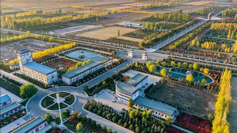 民乐县滨河九粮液回厂游常态化开启 工业酿造全链条沉浸式体验解锁文旅新玩法
