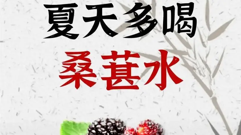 夏日参与养生搭配：8款桑葚水组合适配多元需求 让忙碌与湿气重人群喝出好感