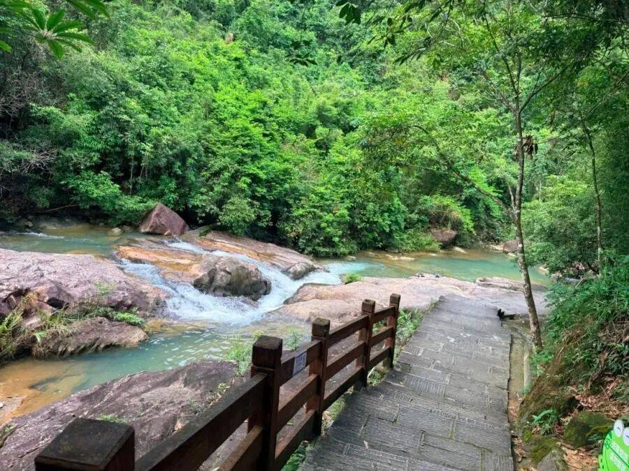 这个夏天，来广州这些公园，在溯溪嬉水中驱散盛夏暑气吧~