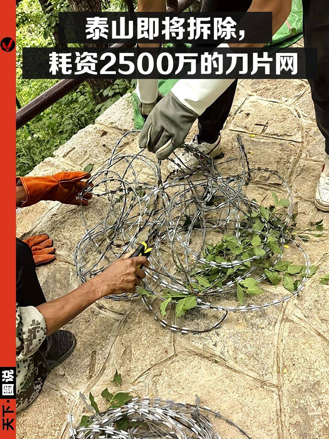 泰山135公里刀片网，终于要拆了