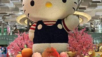 旺季大考：文化节游客在行程临时调整能力上的真实表现与行业反思