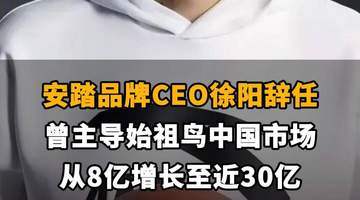 【安踏品牌CEO徐阳辞任,曾主导始祖鸟中国市场从8亿增长至近30亿】