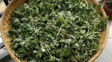入夏后最该吃什么?这几种鲜嫩野菜别错过,清香可口风味佳!