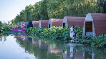 息县:盛夏赴约观荷韵 乡旅兴业暖童心