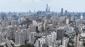 时政微纪录丨习近平总书记上海行
