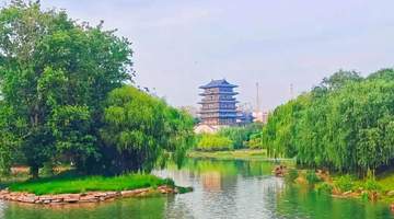 6个免费散步放空好去处,郑州人周末走起!