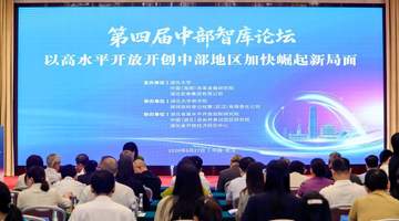 迟福林:人工智能时代的中部崛起