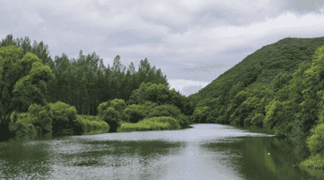 这趟龙江漂流,凉透整个夏天