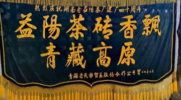 解开益阳砖茶在青海长盛不衰的秘码