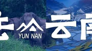有一种叫云南的生活丨7月，去云南