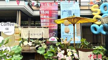 中外40余个美食品牌齐聚扬州 共赴夏日风味之约