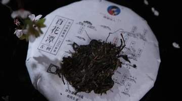 南茗佳人|新茶和老茶该怎么选？
