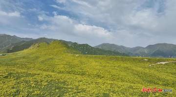 【文化旅游】山间花海、飞瀑流泉、民族歌舞——积石山旅游大通道开启避暑旺季