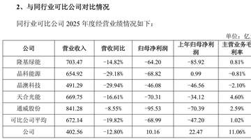 阿特斯回复2025年年报问询函:美国新法案冲击下 公司将变身“包租公”
