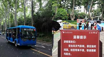 南京钟山风景区临时关闭并劝离进山游客