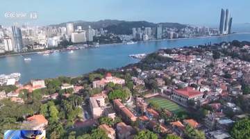 打卡“邮轮+在地文化”路线 解锁12小时厦门观光之旅