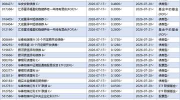 公募基金热议长鑫科技IPO:若估值合理将成为科技板块“必配”标的