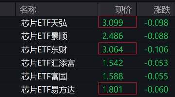 芯片概念股下跌 芯片ETF跌幅超3%