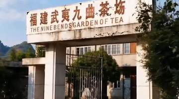 星村茶人:武夷岩茶改革先锋