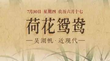 七月三十日来体验《荷花鸳鸯》里的清韵诗意 看荷静鸳双的鲜活场景