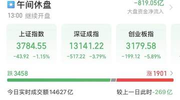 A股午盘参与体验复盘：创业板指重挫5.89%吞全年涨幅，白酒教育汽车领跌板块
