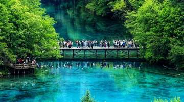 夏日九寨沟打卡指南:赴碎金光波与浓绿深谷的多元自然体验
