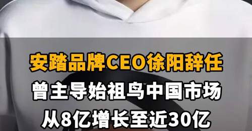 【安踏品牌CEO徐阳辞任,曾主导始祖鸟中国市场从8亿增长至近30亿】