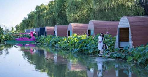 息县:盛夏赴约观荷韵 乡旅兴业暖童心