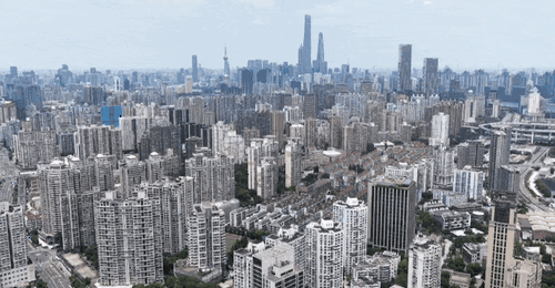 时政微纪录丨习近平总书记上海行