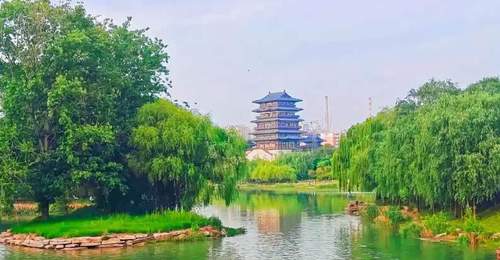 6个免费散步放空好去处,郑州人周末走起!
