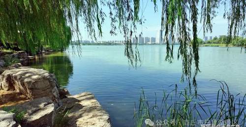 来商丘日月湖景区赴绿意之约 走进沁凉绿荫秘境享悠然体验