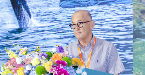 “你好,南岛”2026中国行收官 深圳成为中新旅游合作新焦点