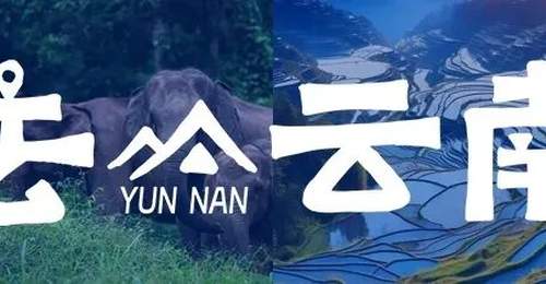 有一种叫云南的生活丨7月，去云南