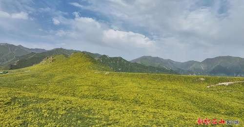 【文化旅游】山间花海、飞瀑流泉、民族歌舞——积石山旅游大通道开启避暑旺季