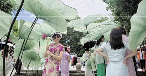 接天莲叶,触手可及