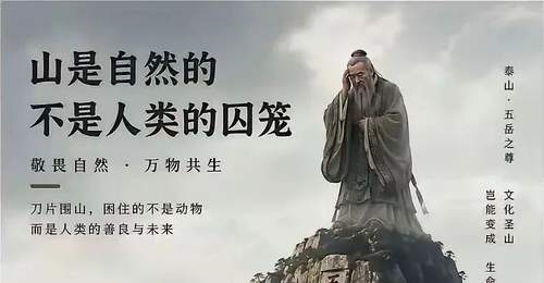 泰山滚刀网的本质