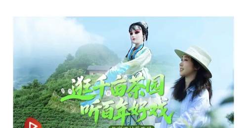 获央视网推介!永定区这几个莓茶园热度爆棚