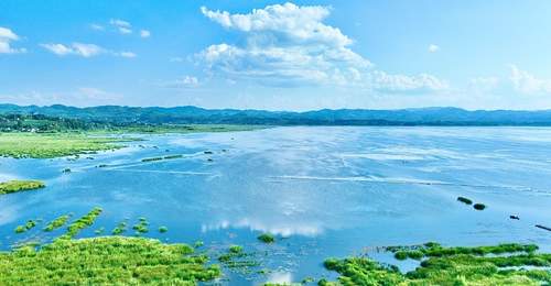 贵州毕节:百年夫妻古树迎客来 高原湿地绘就盛夏清凉画卷