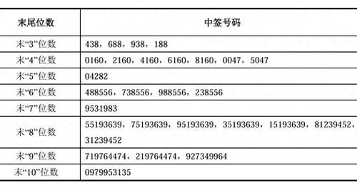 长鑫科技中签号出炉,36支社保、养老基金参与战略配售