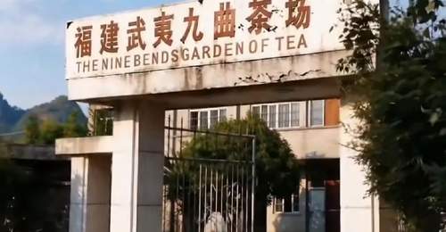 星村茶人：武夷岩茶改革先锋