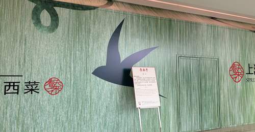 小笼包48元6只人均花131元 鼎泰丰闭店引热议 现场观众怎么看？